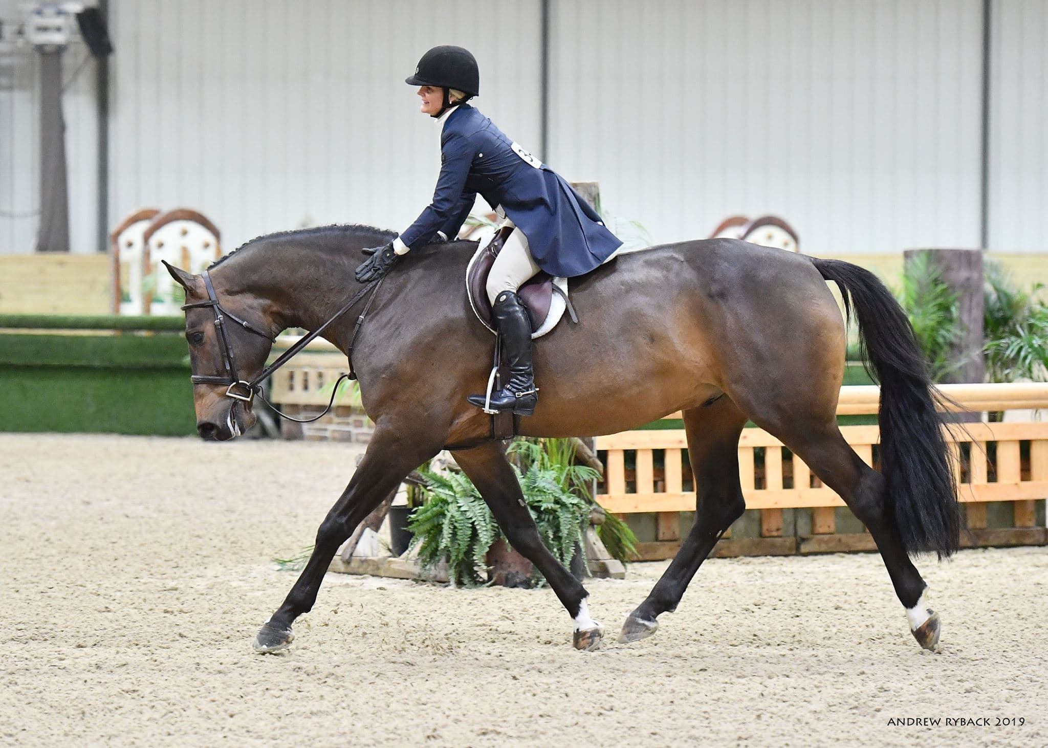 Rider and bay horse working in an indoor arena