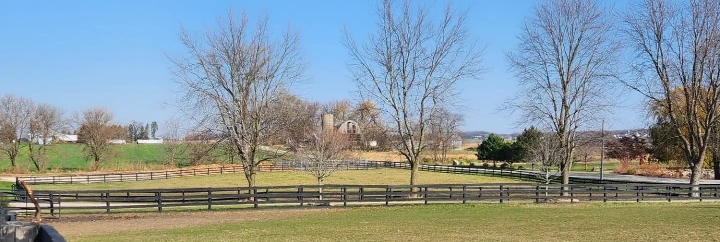 Paddocks and mature trees at NCE Equestrian