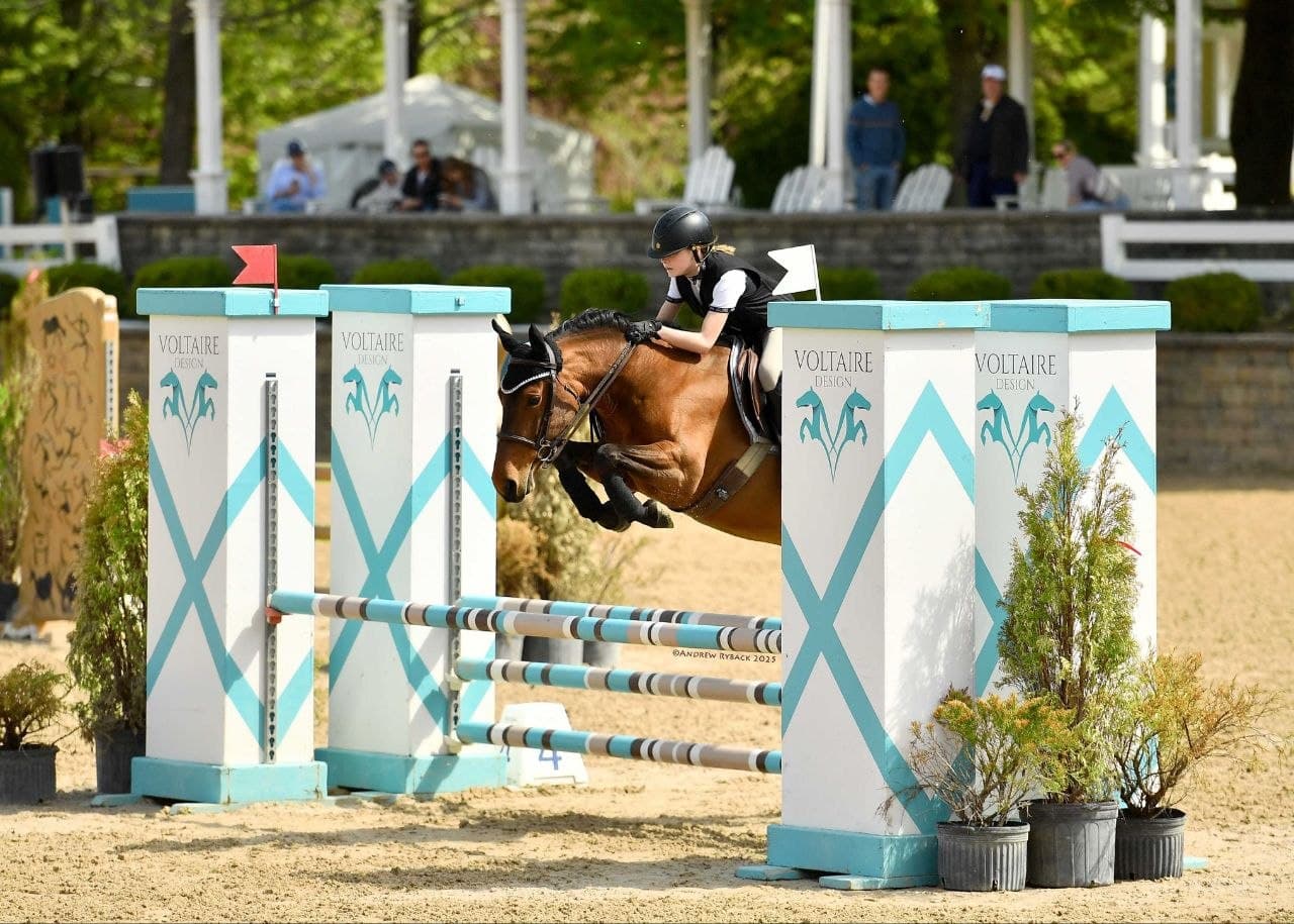Young rider and bay horse jumping a turquoise Voltaire fence