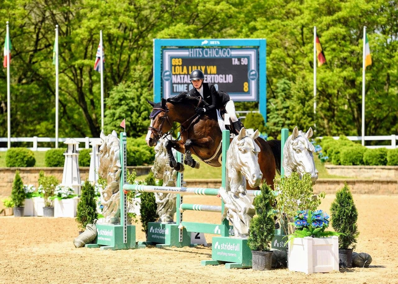 Rider and bay horse jumping between green horse-head standards at HITS Chicago