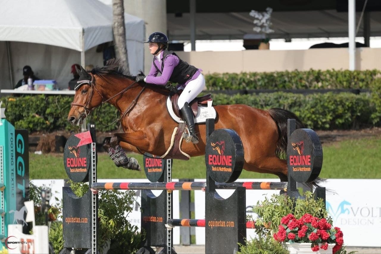 Rider in purple jumping a bay horse over an Equine Tack and Nutritionals fence