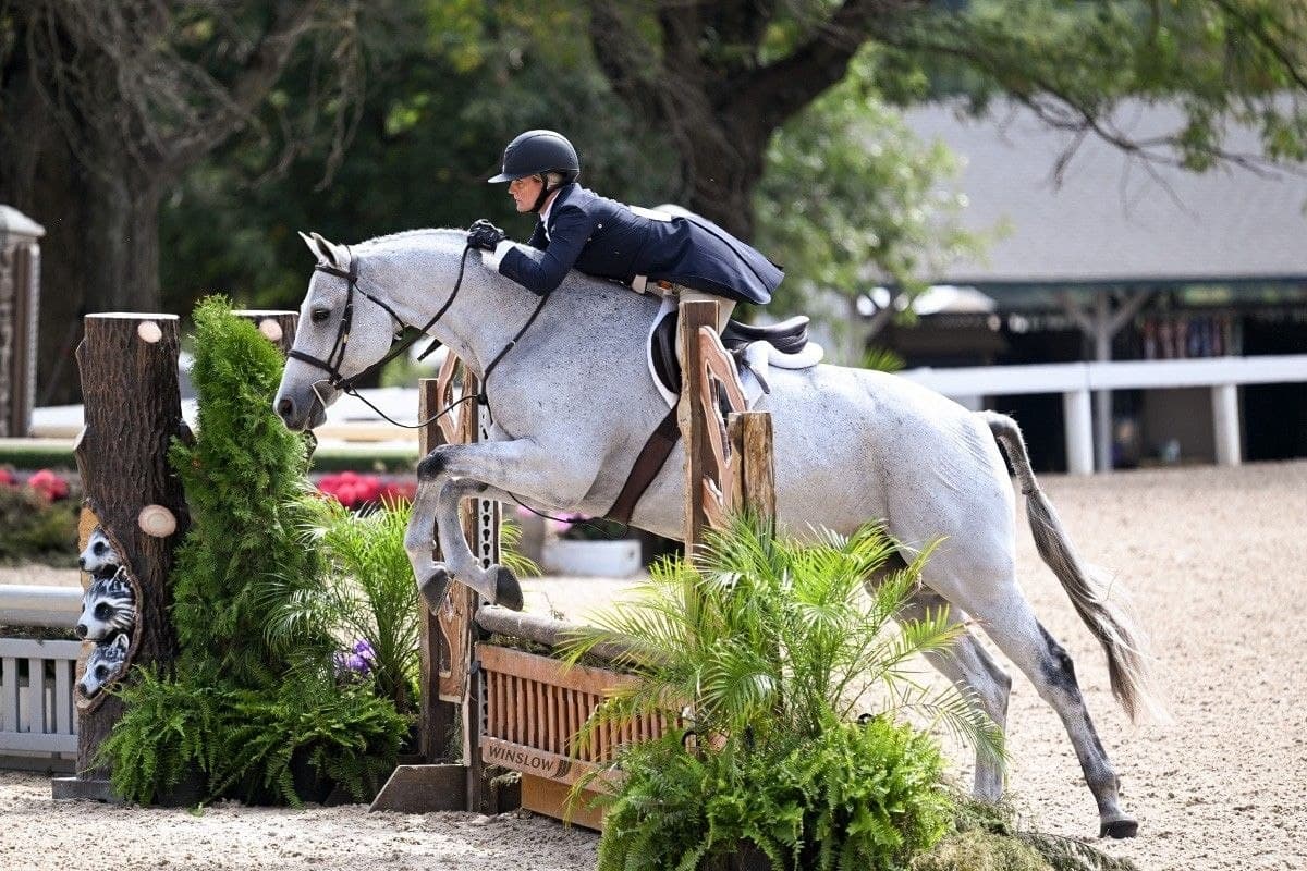 Rider and gray horse jumping a rustic fence in a wooded show ring