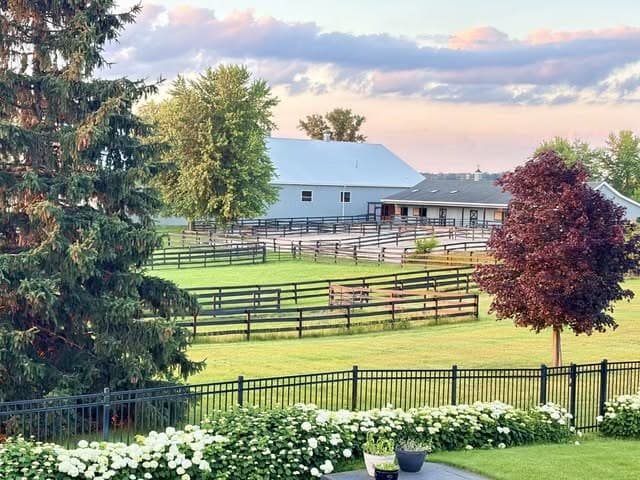Life at the farm