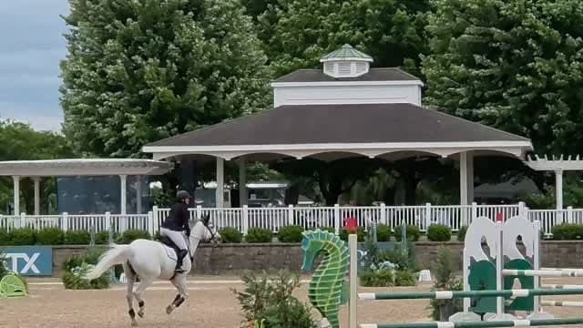 Hunter/jumper action from NCE Equestrian