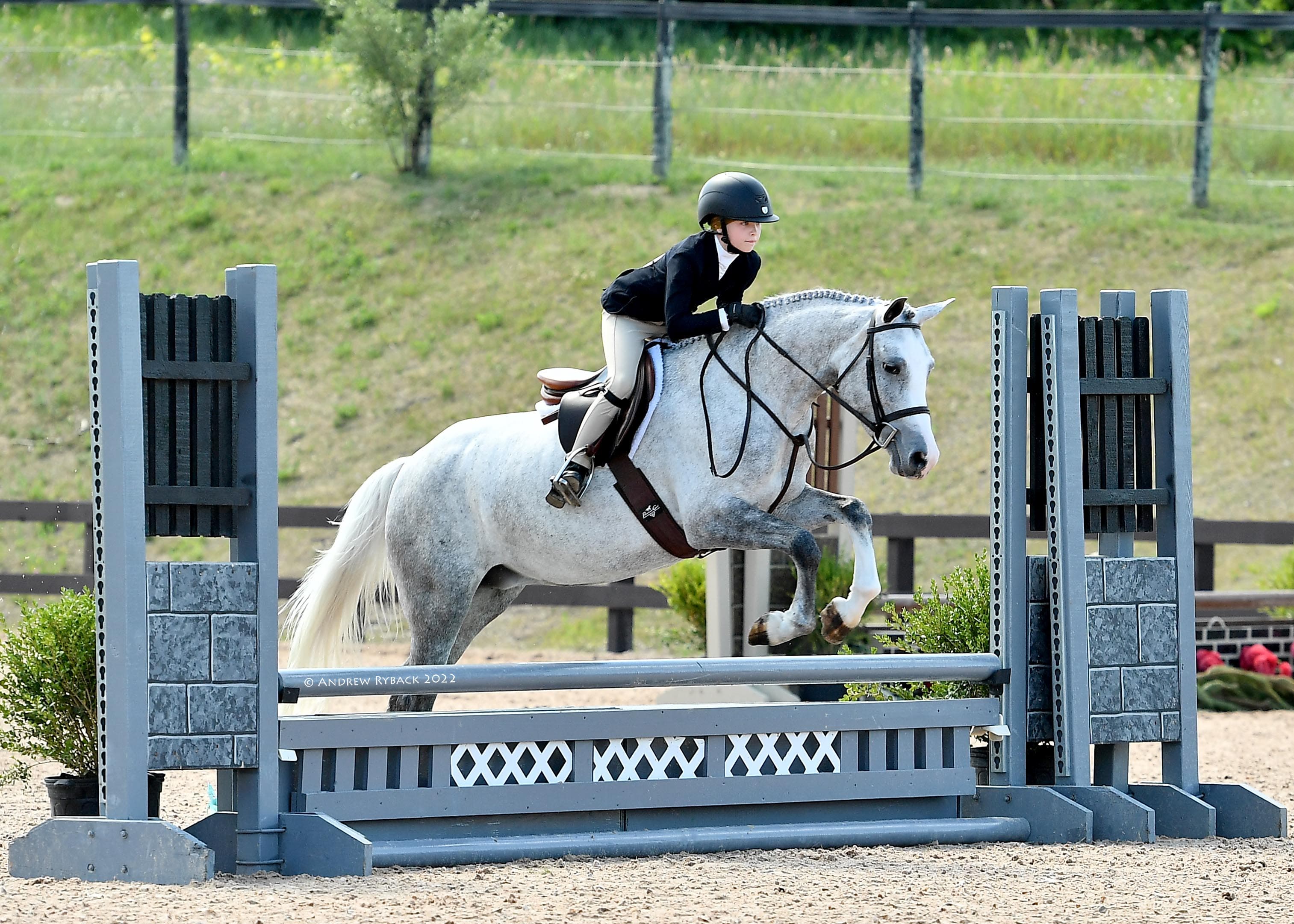 Rider and grey horse jumping at a horse show
